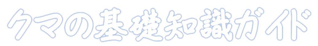 クマの基礎知識ガイド